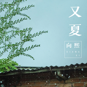 免费脚交视频网
